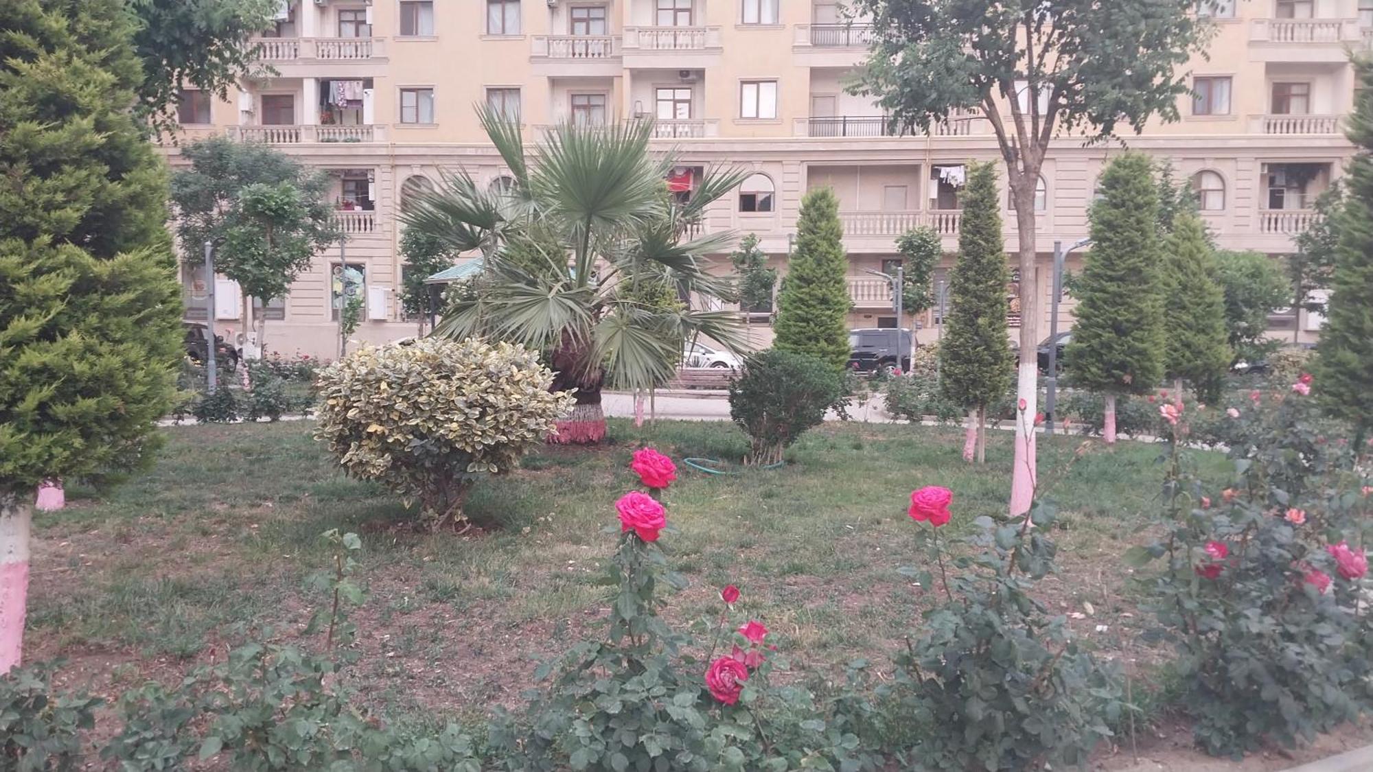 Banu House Apartment Sumqayyt Bagian luar foto